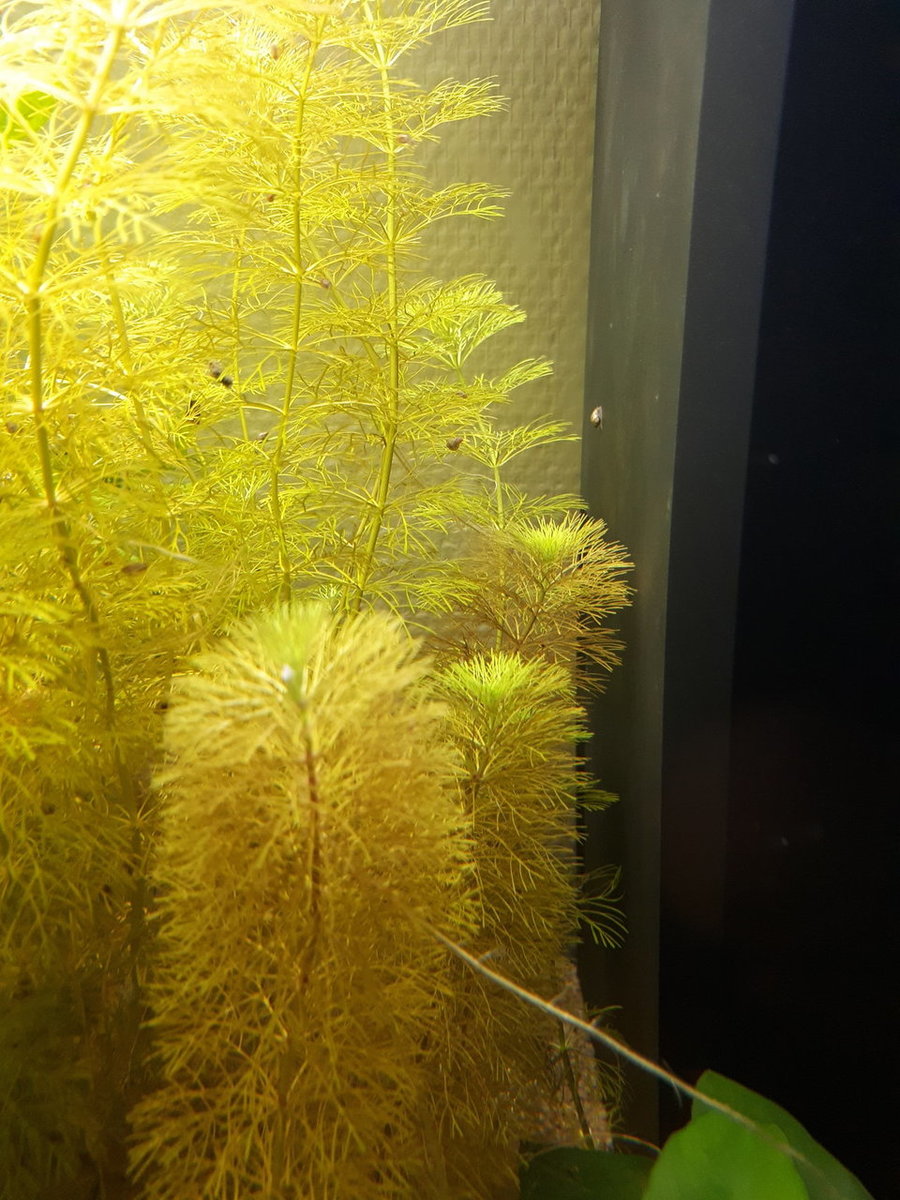 20180919_190125.jpg
