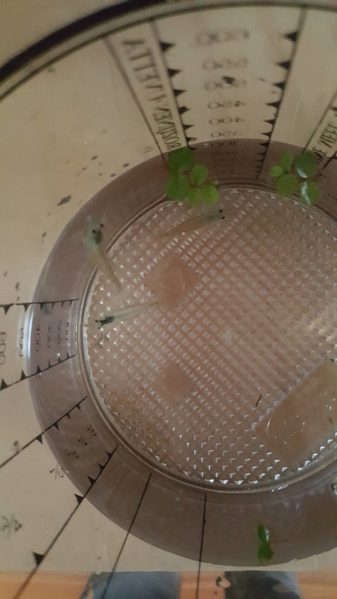20180920_111931.jpg