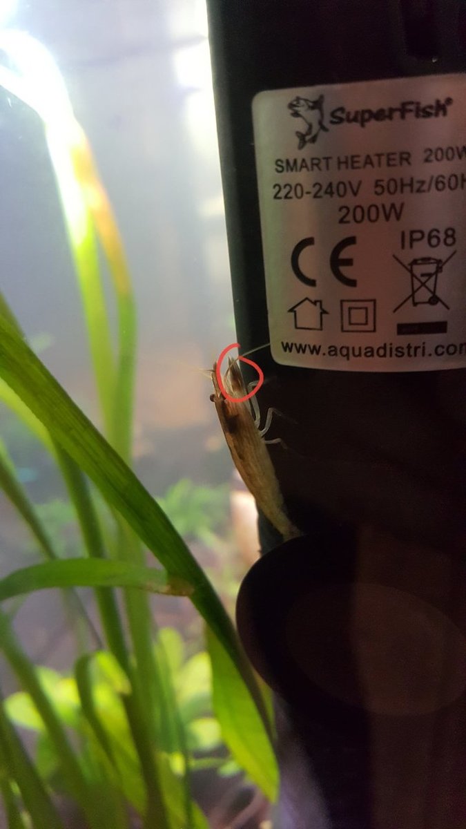 20180920_115311.jpg