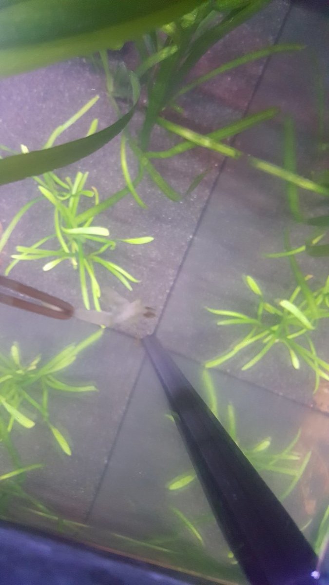 20180920_141107.jpg