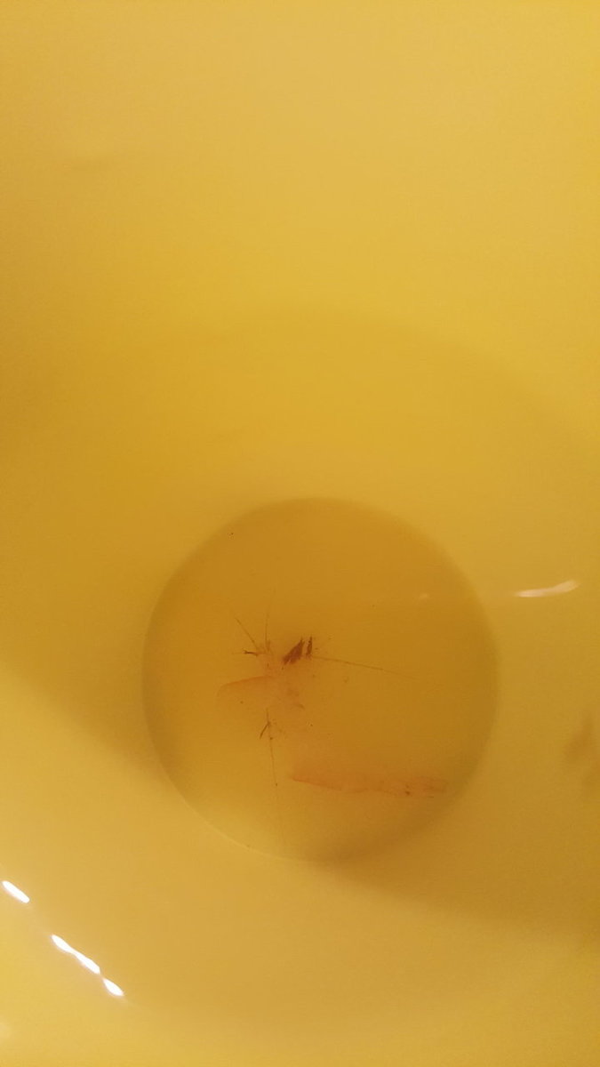 20180920_141227.jpg