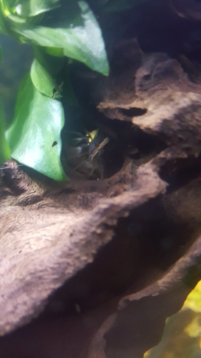 20180920_214306.jpg