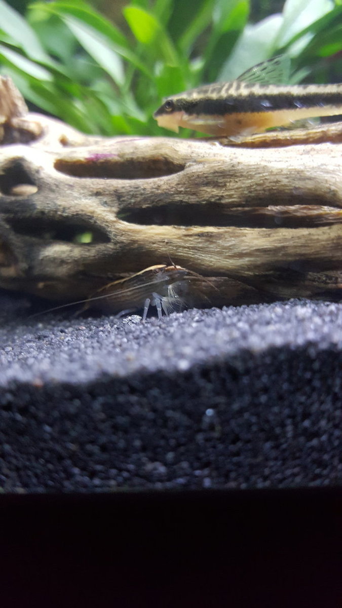 20180921_222441.jpg