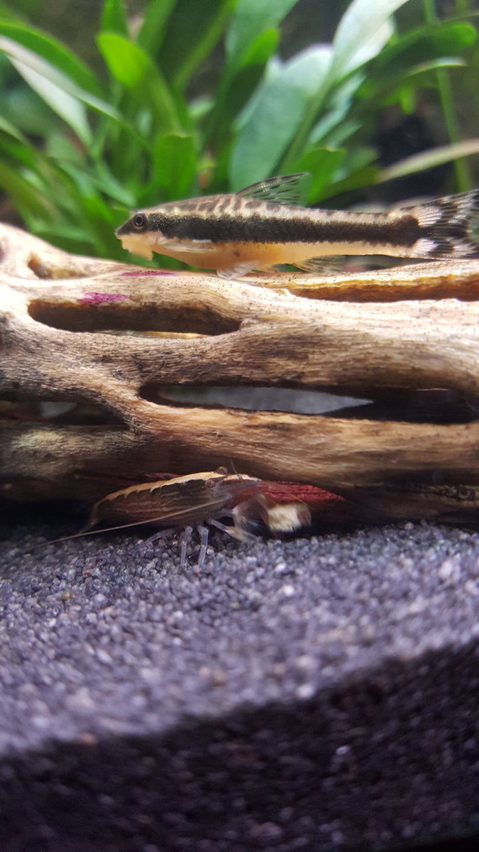 20180921_224551.jpg
