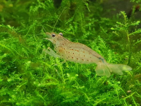 20180922_185821.jpg