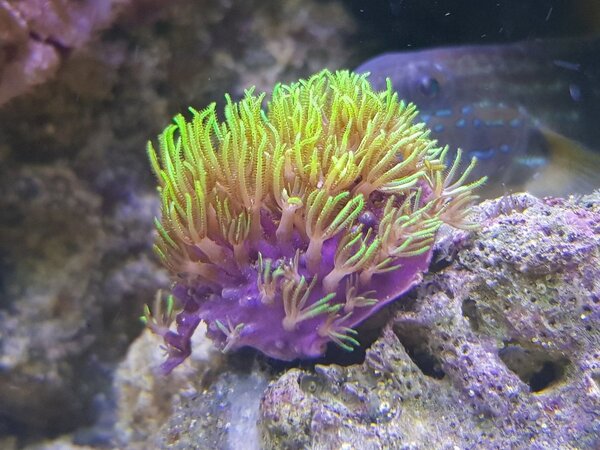 20180923_141213.jpg