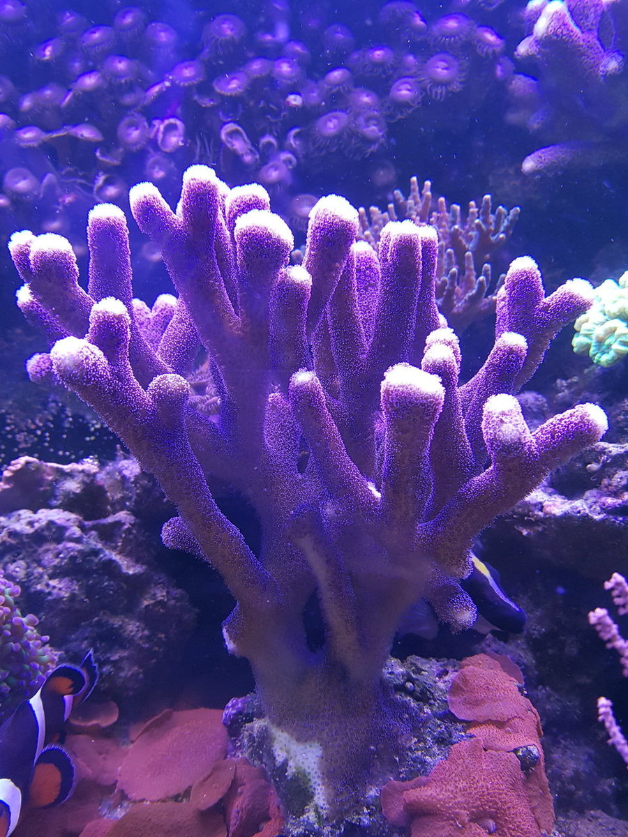 20180924_213302.jpg