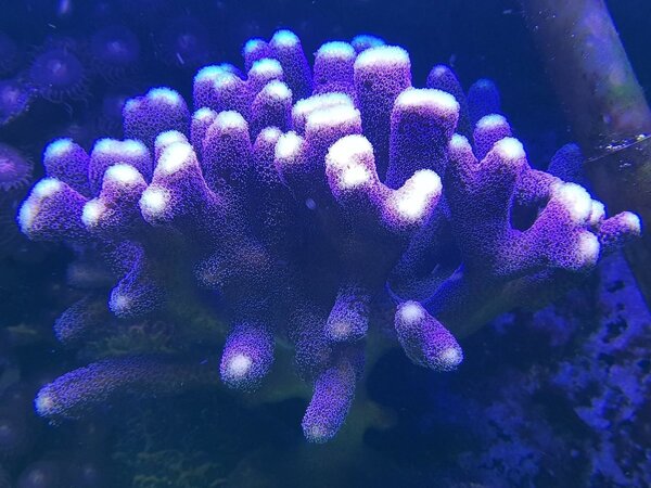 20180924_213319.jpg