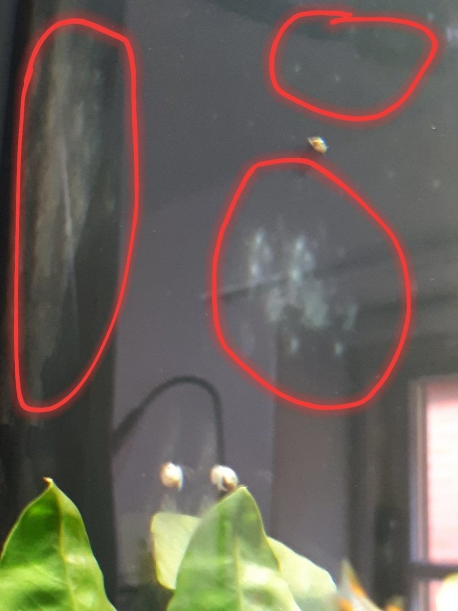 20180925_123917.jpg
