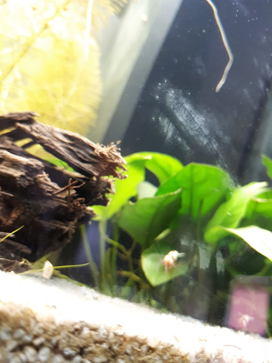 20180925_132534.jpg