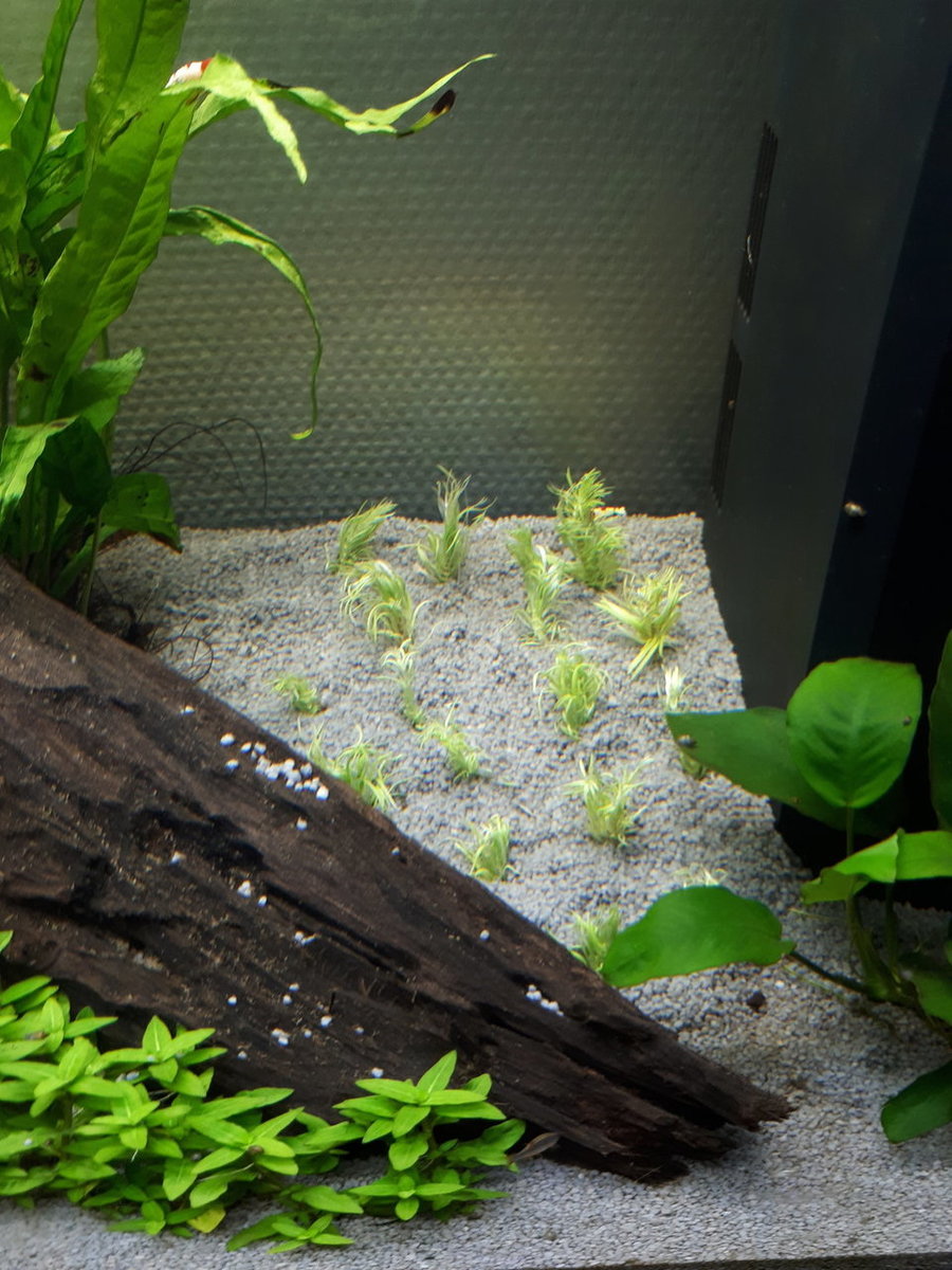 20180925_155205.jpg