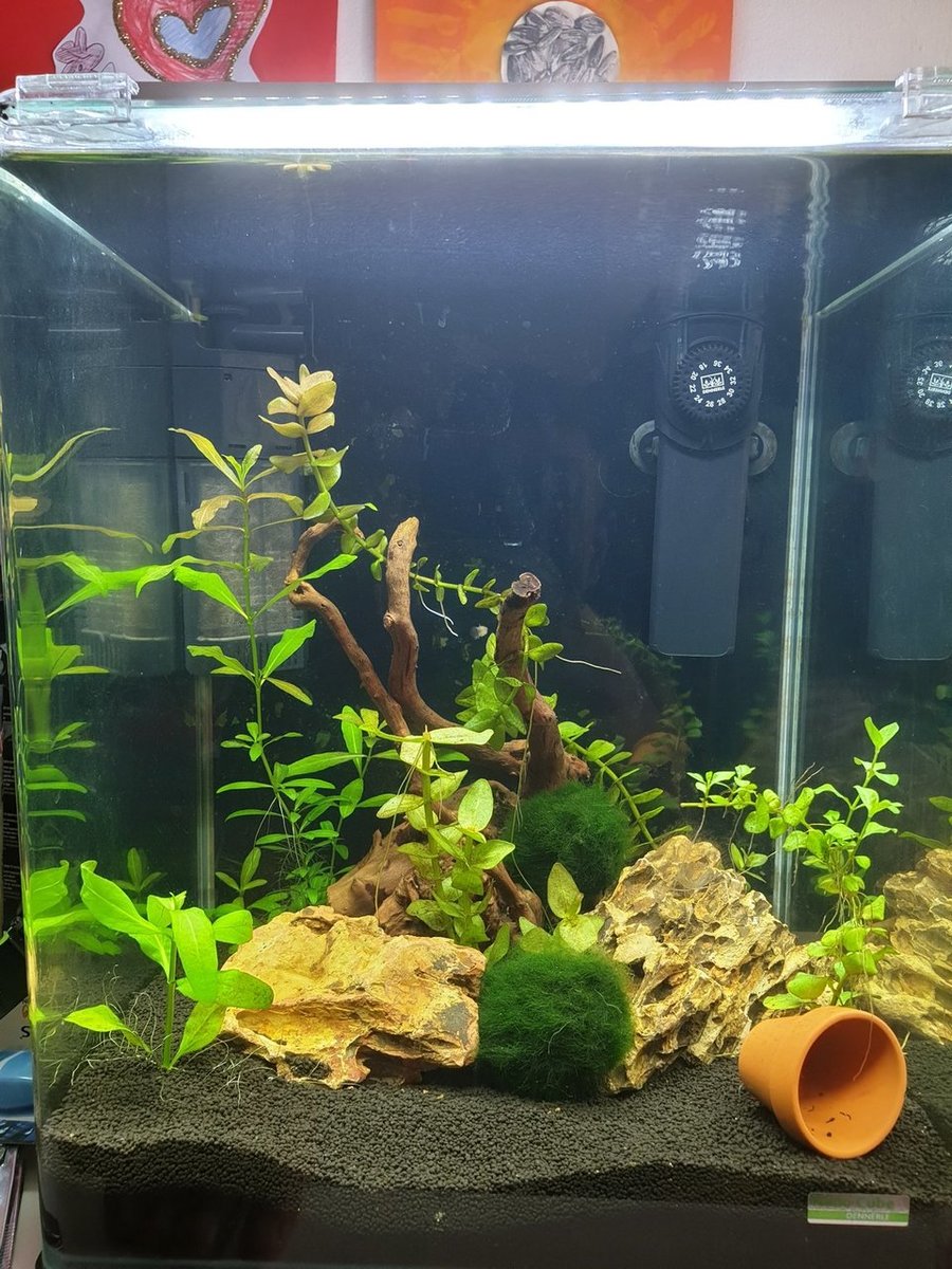 20180925_155223.jpg