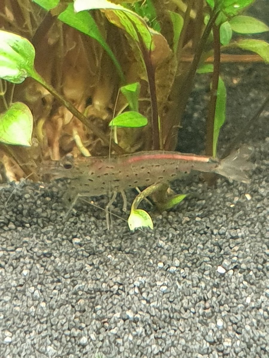 20180926_190426.jpg
