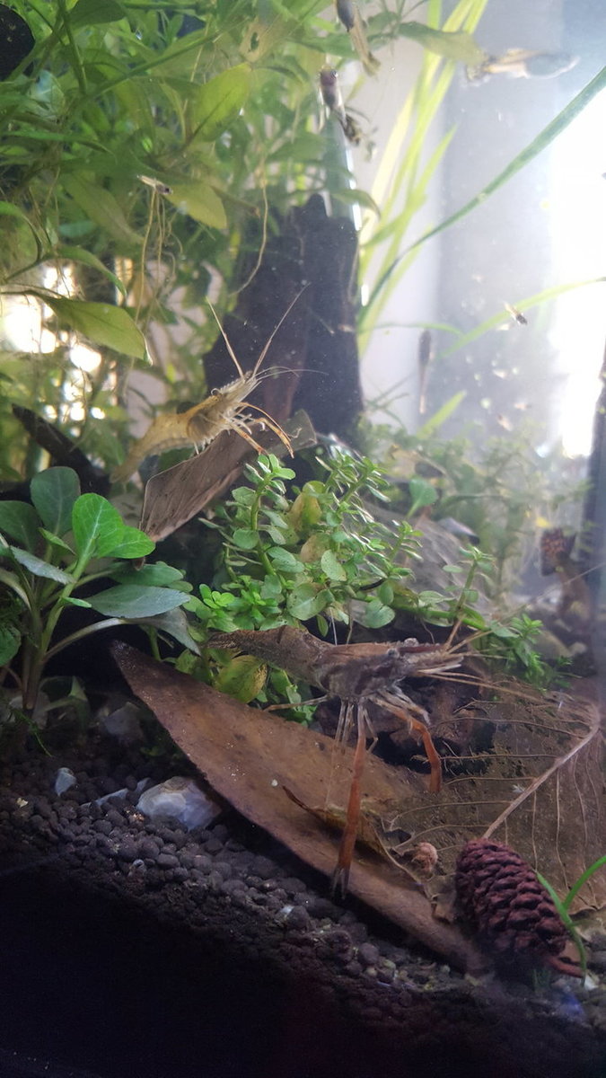 20181001_160202.jpg