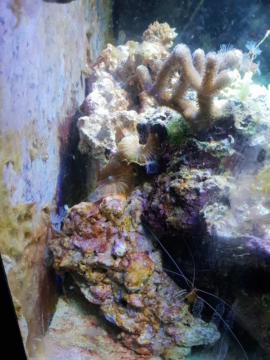 20181004_210459.jpg