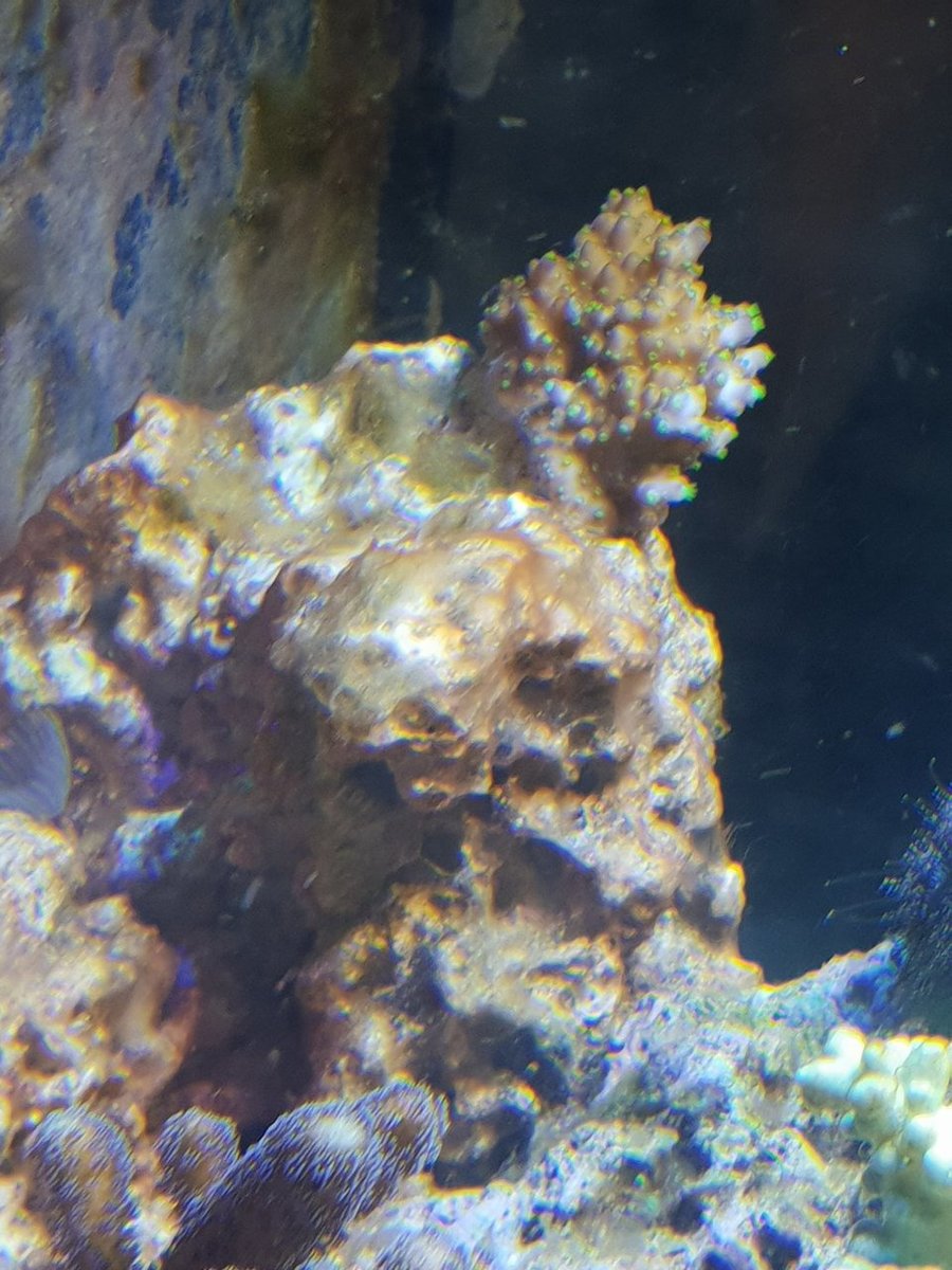 20181004_210513.jpg