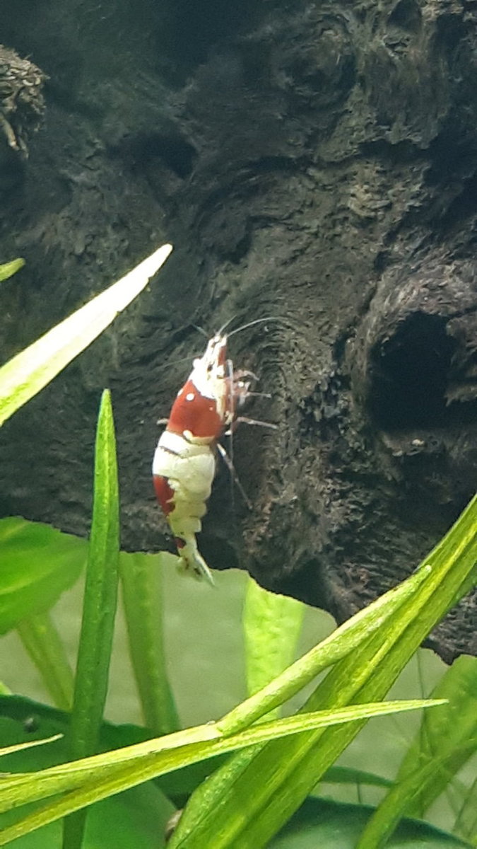20181005_190626.jpg