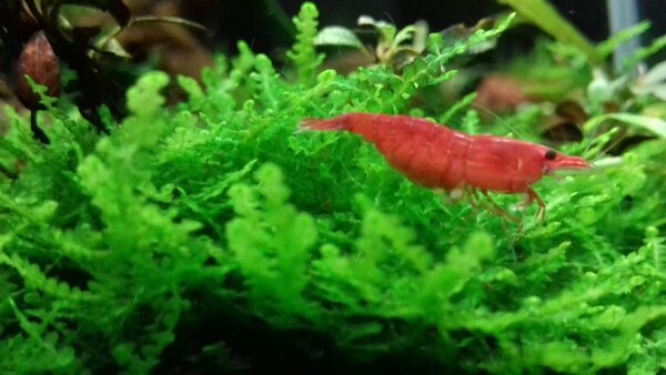 20181009_004917.jpg