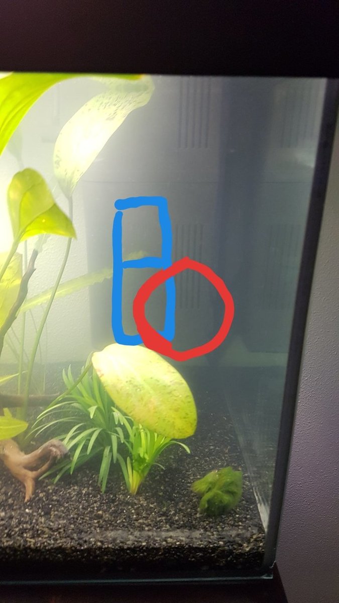 20181013_190048.jpg