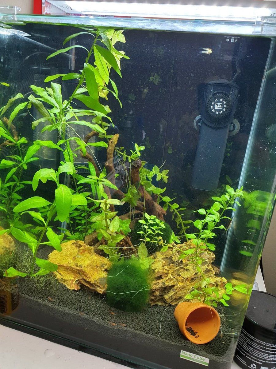 20181014_124402.jpg
