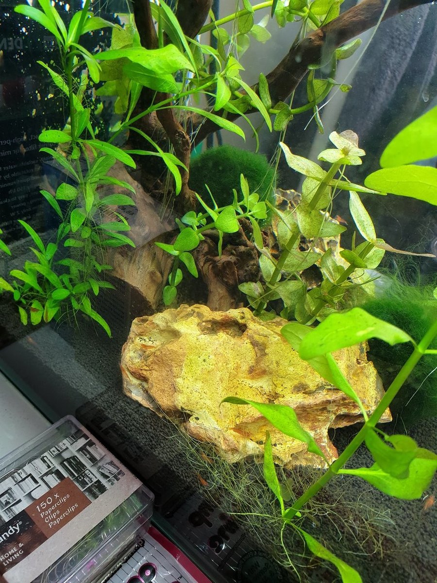 20181014_124645.jpg