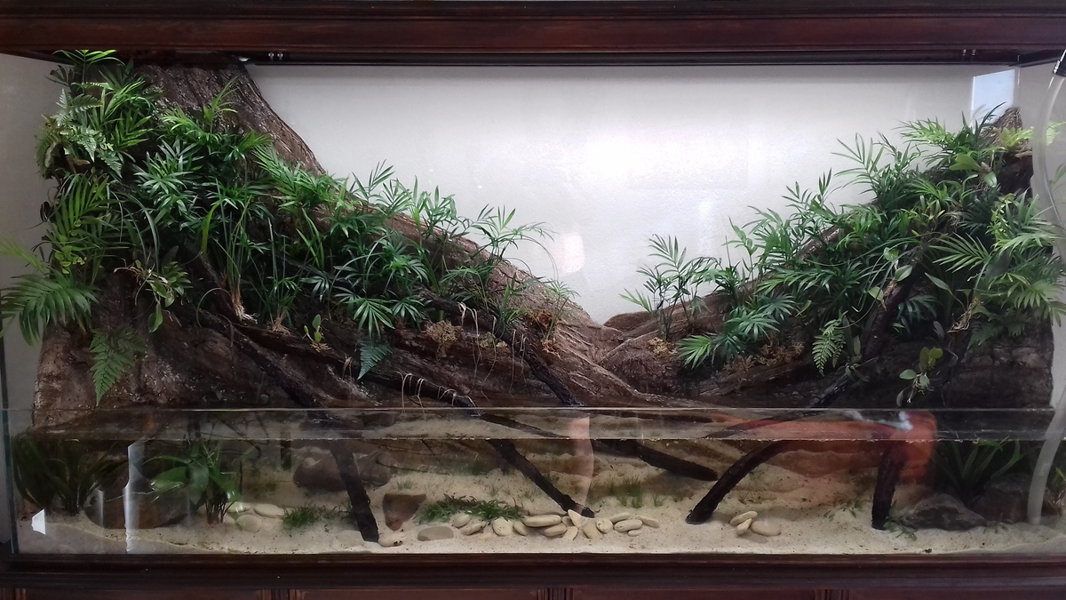 20181014_161052.jpg