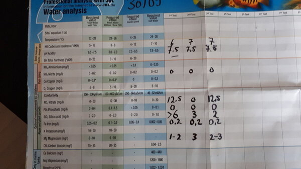 20181014_170541.jpg