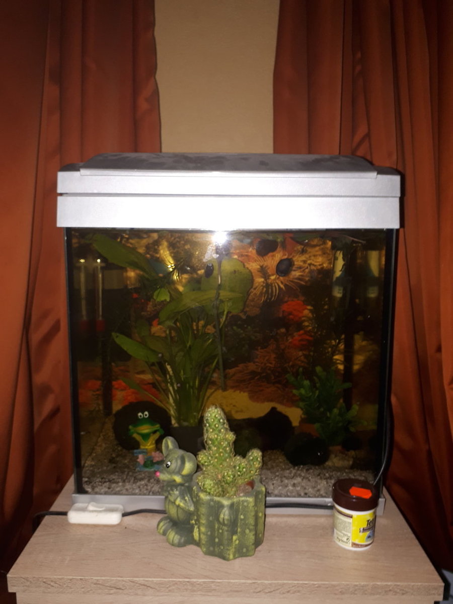 20181022_200359.jpg