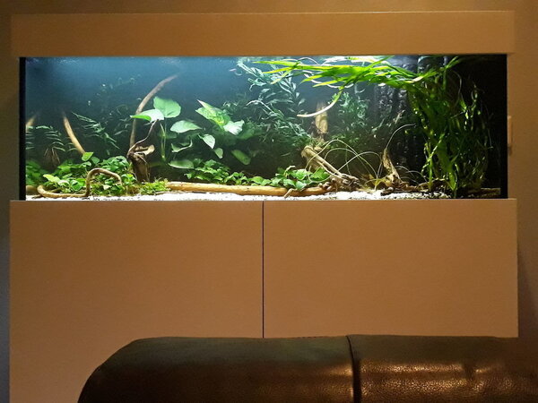 20181026_185538.jpg