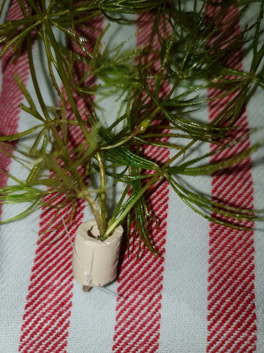 20181027_193321.jpg