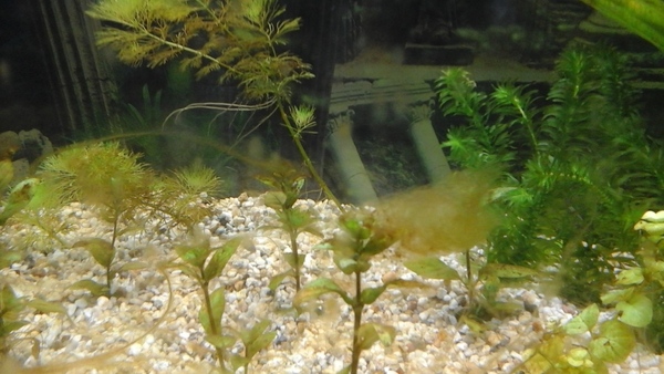20181031_145656.jpg
