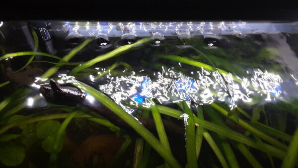 20181101_221500.jpg