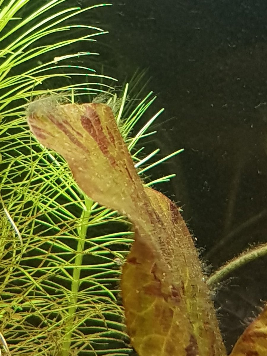 20181103_195655.jpg