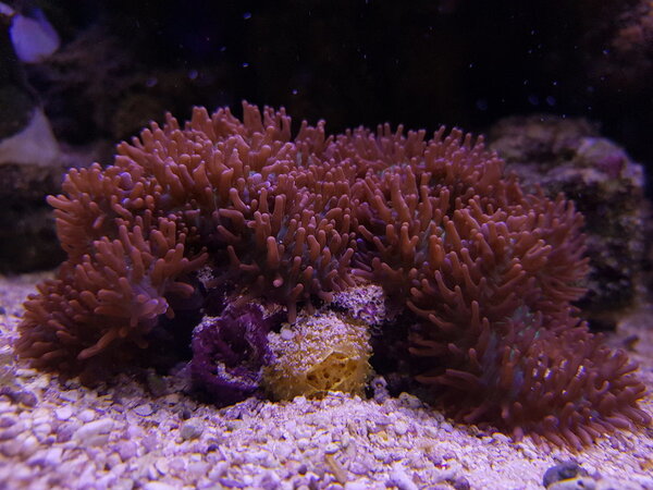 20181103_211204.jpg