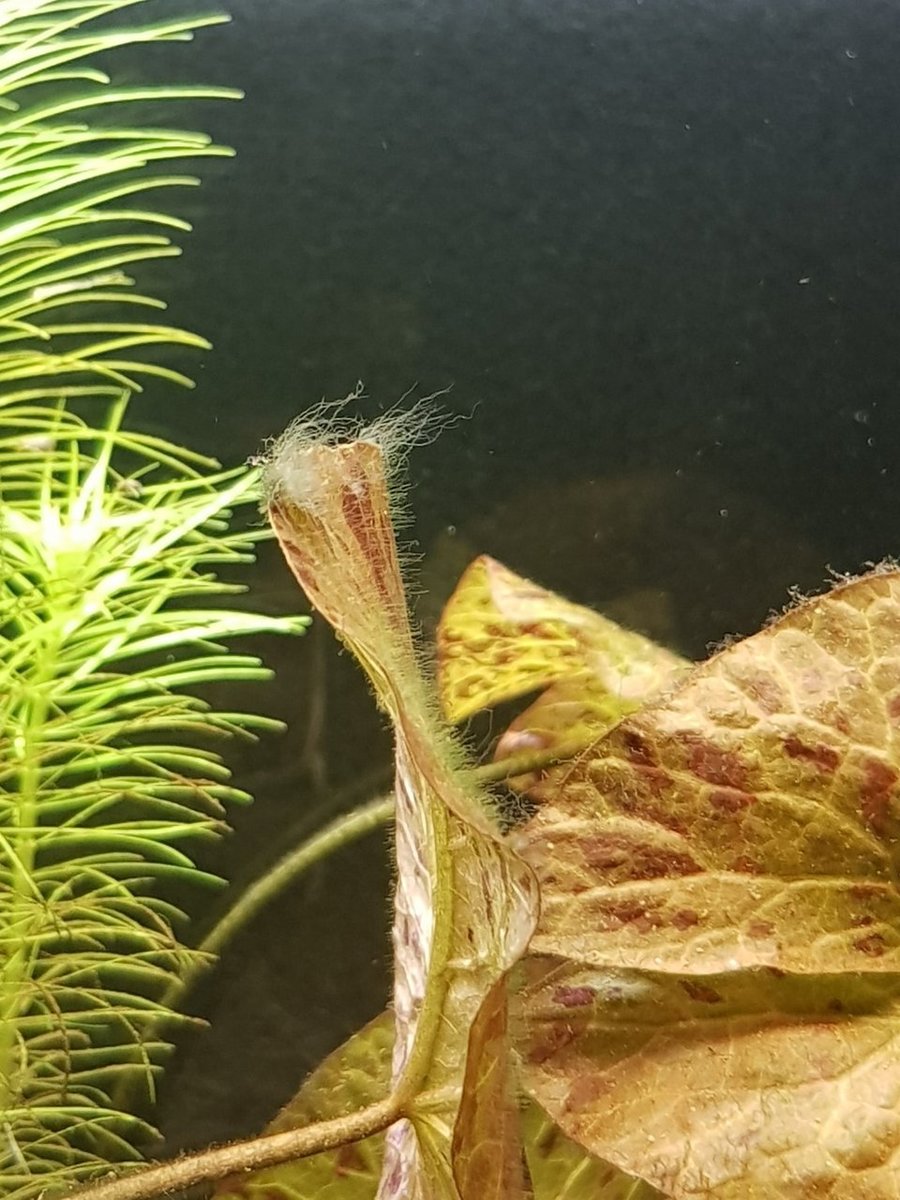 20181104_174845.jpg