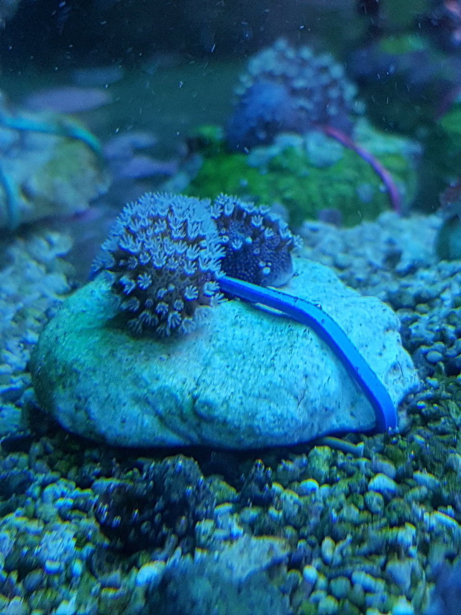 20181104_190525.jpg