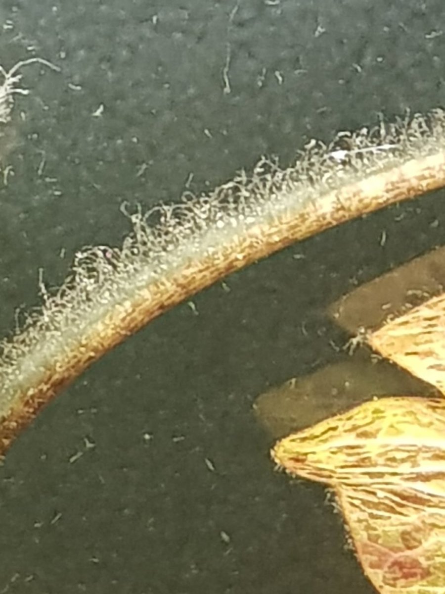20181107_215728.jpg