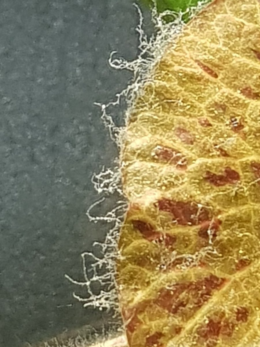 20181107_215733.jpg
