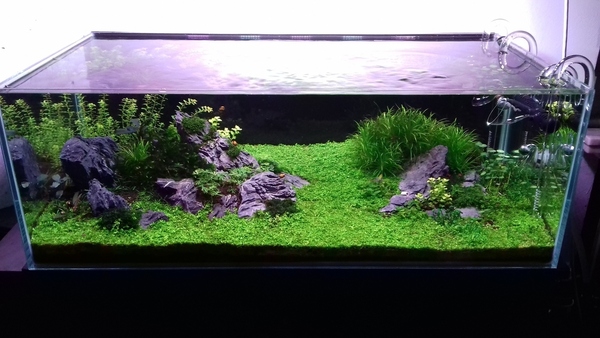 20181119_201420.jpg