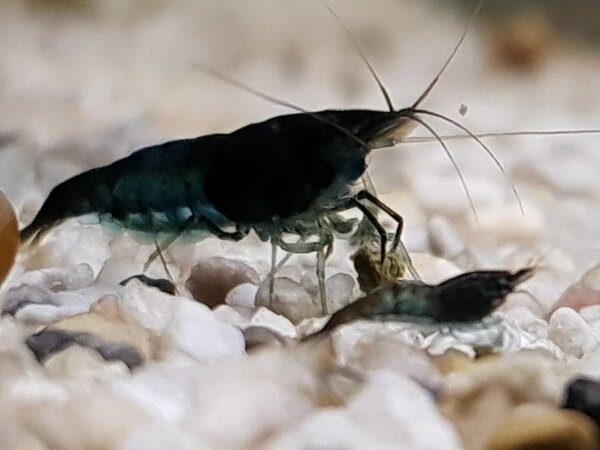20181121_220351.jpg
