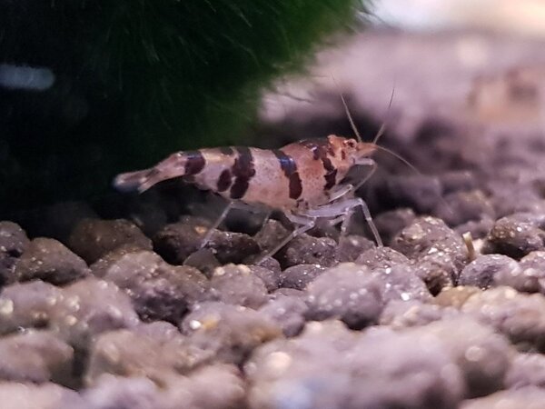 20181122_211155.jpg