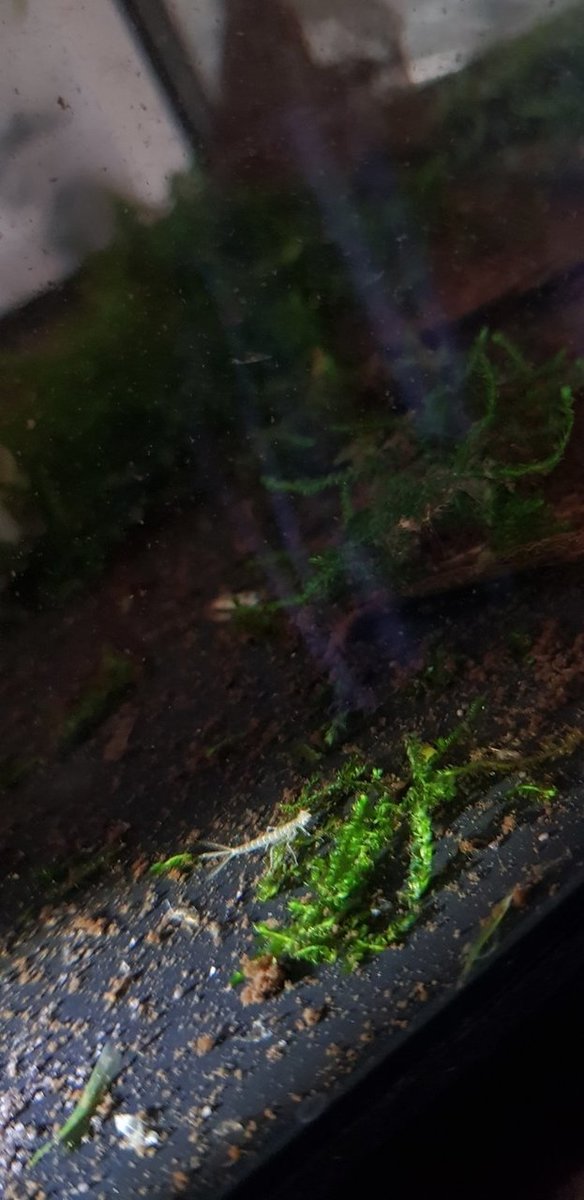 20181125_143316.jpg