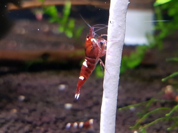 20181127_175744.jpg