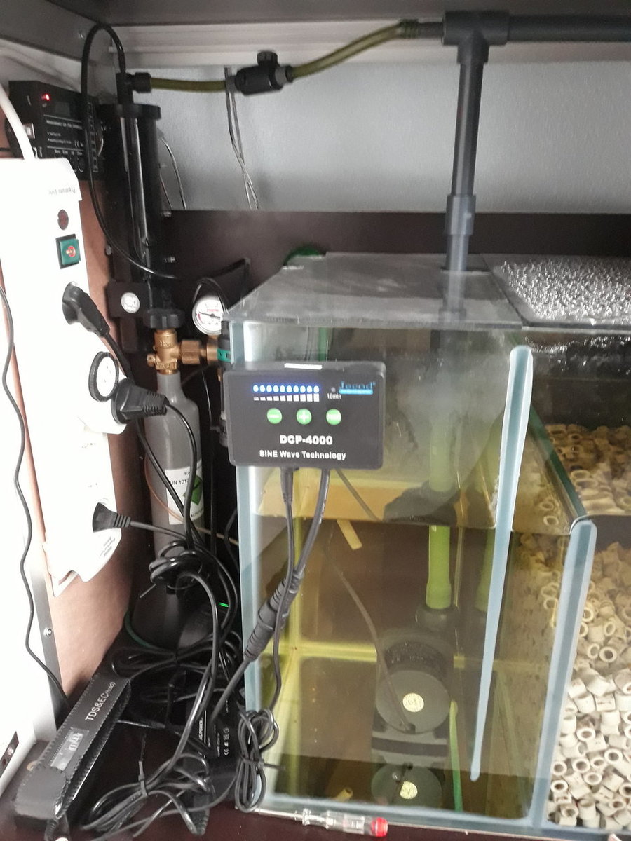20181201_091330.jpg