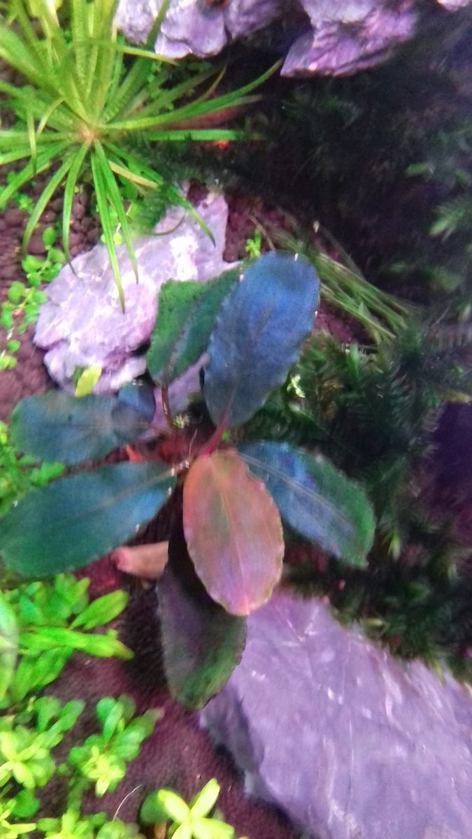 20181202_175718.jpg