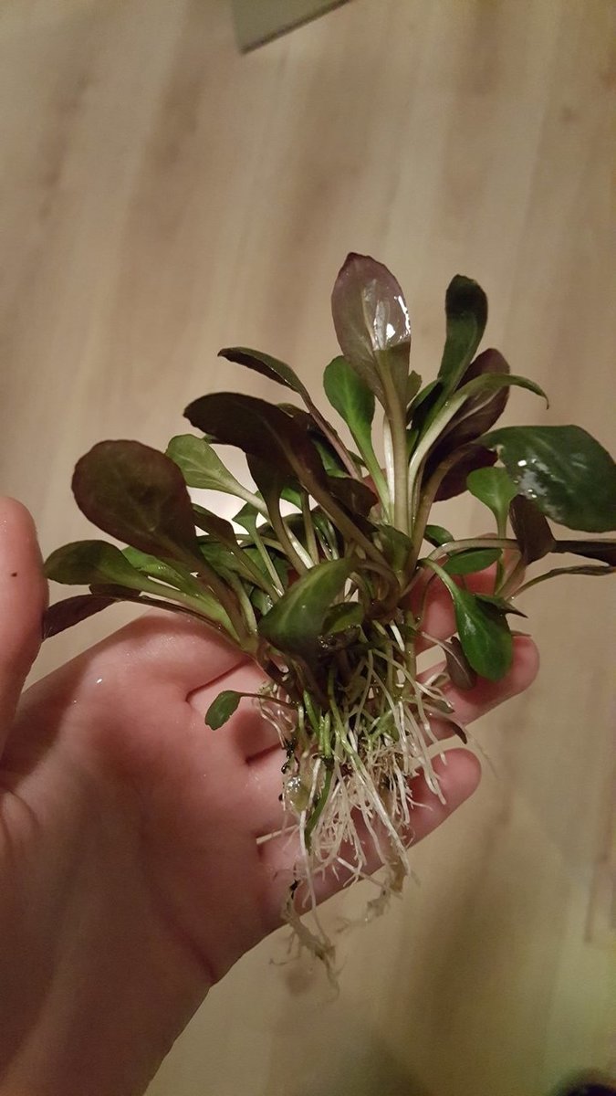 20181205_194056.jpg