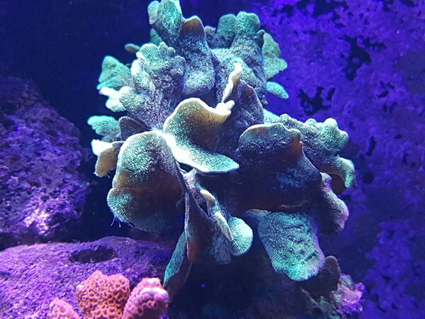 20181210_221313.jpg