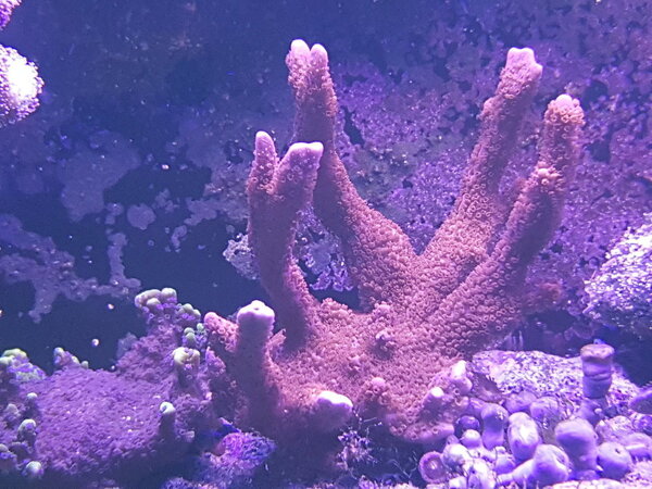 20181210_221341.jpg