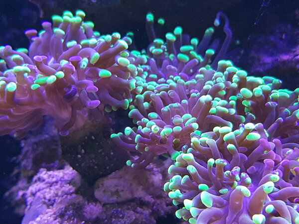 20181210_221354.jpg