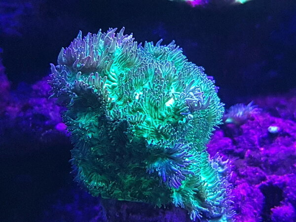 20181215_223904.jpg
